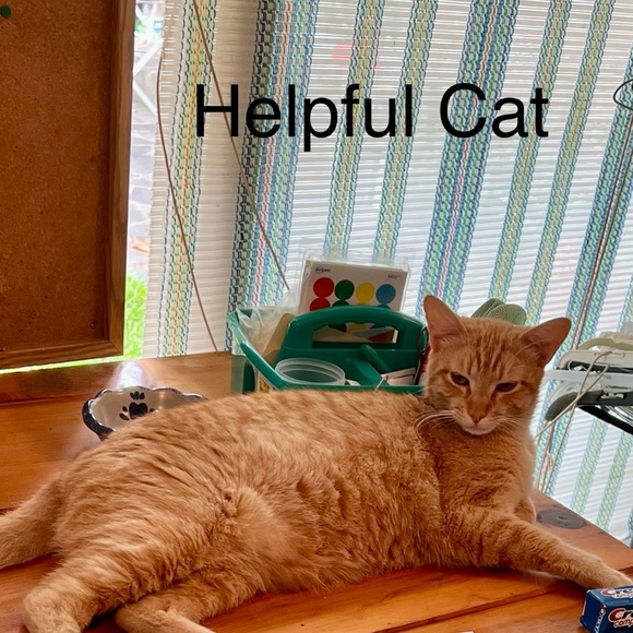 Trio of Cookbooks Mini Treats Mini Pies Mini Cakes - Picture 10 of 10